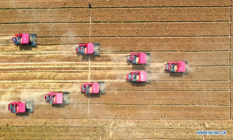 Aerial photo taken on June 7, 2021 shows agricultural machines harvesting wheat at a field in Cheng'an County of Handan City, north China's Hebei Province.Photo: Xinhua