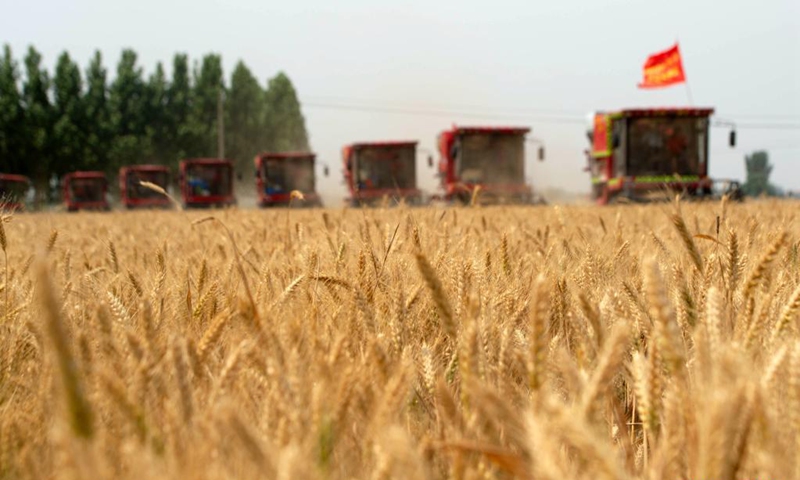 Agricultural machines harvest wheat at a field in Cheng'an County of Handan City, north China's Hebei Province, June 7, 2021.Photo: Xinhua