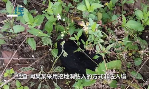 Photo: Screenshot of a video posted by Passion News 