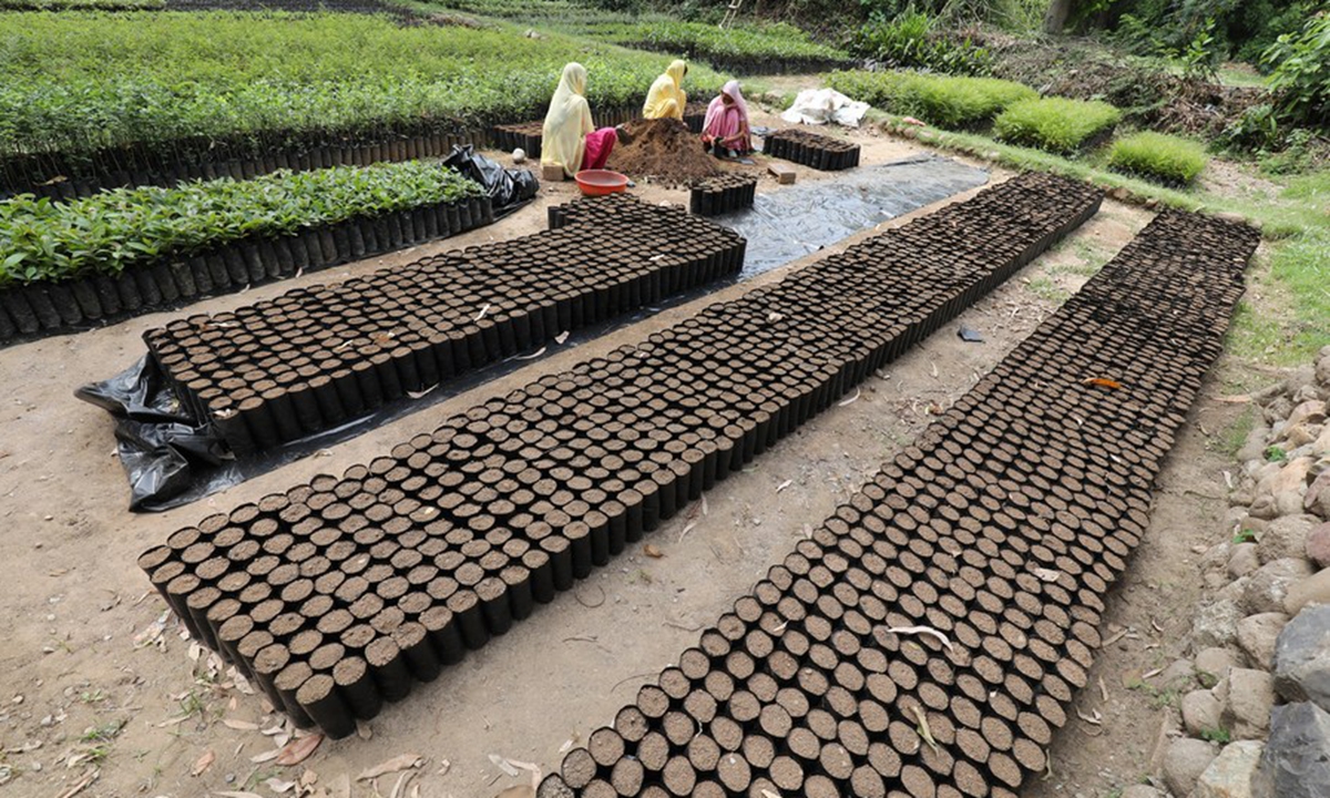 Workers prepare polythene bags for saplings for plantation on the World Environment Day at Samloti forest nursery in district Kangra of India's Himachal Pradesh state, June 5, 2021. (Str/Xinhua)

