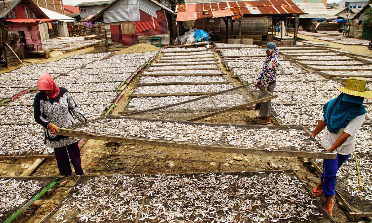 Workers dry anchovies at a fishing village in Lhokseumawe, Indonesia on Monday. Marine life in tropical waters has declined with annual average sea temperatures rising above 20 to 25 C, a study found as researchers fear a drop of about 1,500 species around the Equator. Photo: AFP