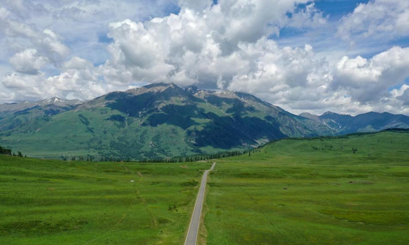 Aerial photo taken on June 9, 2021 shows scenery in Hemu Village of Kanas, northwest China's Xinjiang Uygur Autonomous Region. Photo: Xinhua