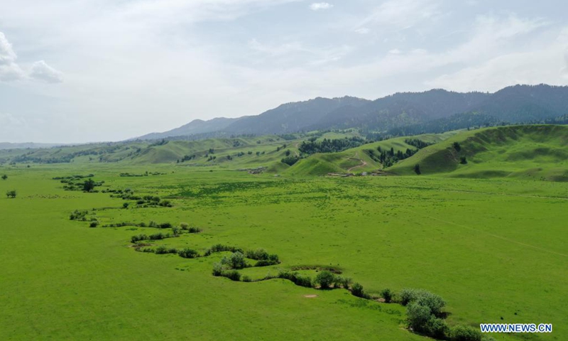 Aerial photo taken on June 3, 2021 shows the Narat grassland in Xinyuan County of northwest China's Xinjiang Uygur Autonomous Region.Photo: Xinhua