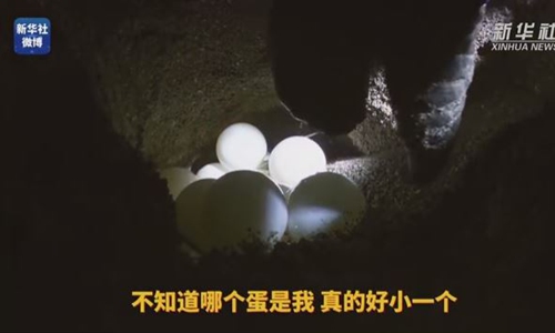 Photo: Screenshot of a video posted by Xinhua News Agency