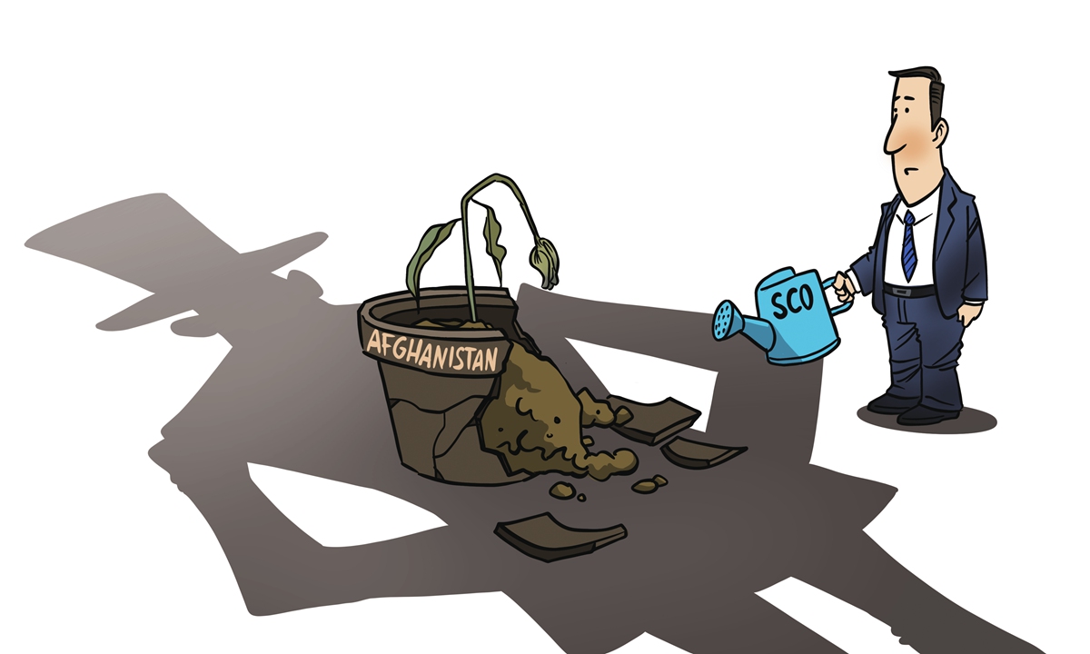 Illustration: Liu Rui/GT
