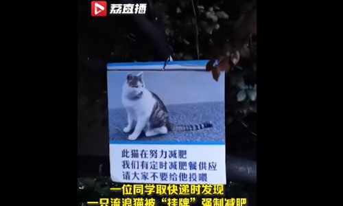 Photo: Screenshot of a video posted by Lizhi Live 