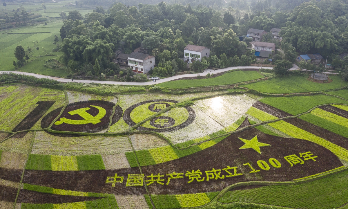 In the rice field at Chadian village, Guang'an of Southwest China's Sichuan Province, farmers draw 