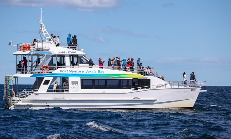 File photo taken on Sept. 23, 2020 shows tourists take a cruise boat for whale watching in Jervis Bay, south of Sydney, Australia.(Photo: Xinhua)