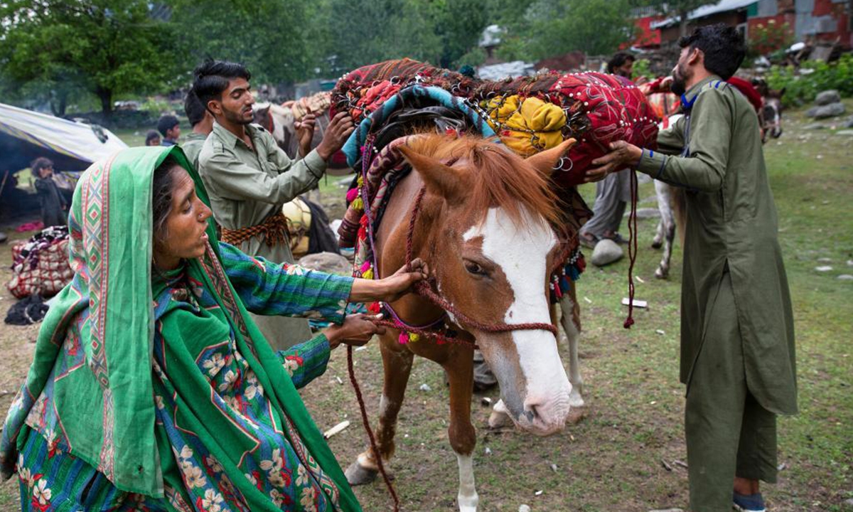 Nomads load their belongings on horses in Pahalgam village, about 90 km south of Srinagar city, the summer capital of Indian-controlled Kashmir, June 20, 2021. The nomadic tribe known as Bakerwals has begun the seasonal migration towards upper reaches of Indian-controlled Kashmir in the wake of the rising temperatures in plains. (Xinhua/Javed Dar)