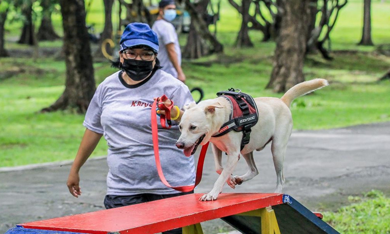 A member of the University of the Philippines (UP) Sagip (Rescue) K9 trains her dog at the UP Campus in Manila, the Philippines on June 23, 2021. The UP Sagip (Rescue) K9 aims to find purpose and care for the saved stray dogs that were left unfed because of the COVID-19 pandemic by undergoing search and rescue training. (Xinhua/Rouelle Umali)