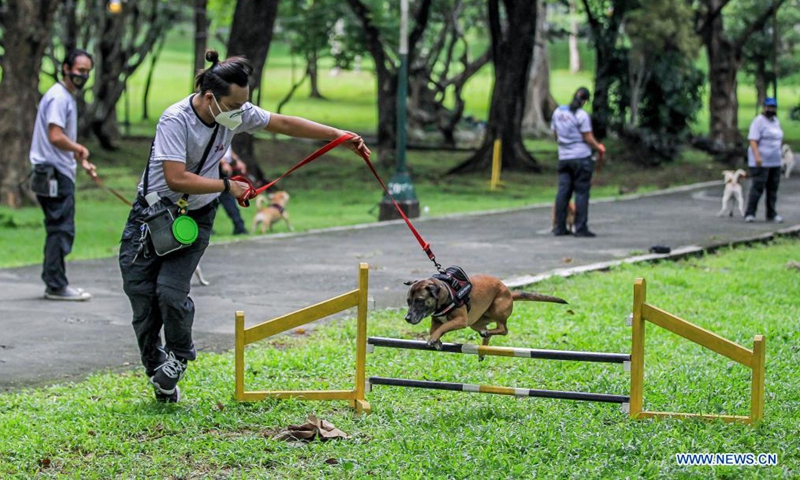 A member of the University of the Philippines (UP) Sagip (Rescue) K9 trains his dog at the UP Campus in Manila, the Philippines on June 23, 2021. The UP Sagip (Rescue) K9 aims to find purpose and care for the saved stray dogs that were left unfed because of the COVID-19 pandemic by undergoing search and rescue training. (Xinhua/Rouelle Umali)