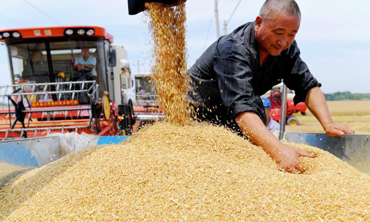 A farmer harvests wheat in the fields of Qianzhuanmen Village, Fucheng County, Hengshui City, north China's Hebei Province, June 13, 2021. China reaped another bumper summer harvest in 2021, the country's agriculture minister said Wednesday. (Photo by Zhang Chunlei/Xinhua)