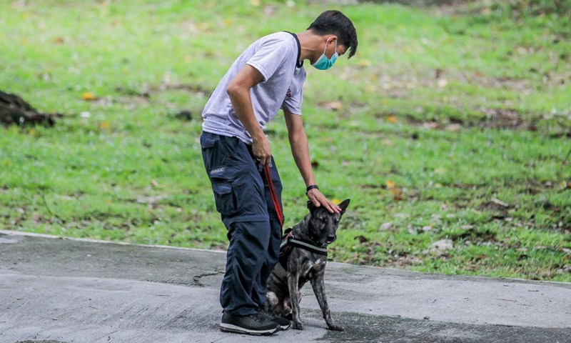 A member of the University of the Philippines (UP) Sagip (Rescue) K9 trains his dog at the UP Campus in Manila, the Philippines on June 23, 2021. The UP Sagip (Rescue) K9 aims to find purpose and care for the saved stray dogs that were left unfed because of the COVID-19 pandemic by undergoing search and rescue training. (Xinhua/Rouelle Umali)