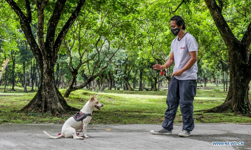 Nano, a former stray dog, is trained to sit and wait by handler during the University of the Philippines (UP) Sagip (Rescue) K9 training at the UP Campus in Manila, the Philippines on June 23, 2021. The UP Sagip (Rescue) K9 aims to find purpose and care for the saved stray dogs that were left unfed because of the COVID-19 pandemic by undergoing search and rescue training. (Xinhua/Rouelle Umali)