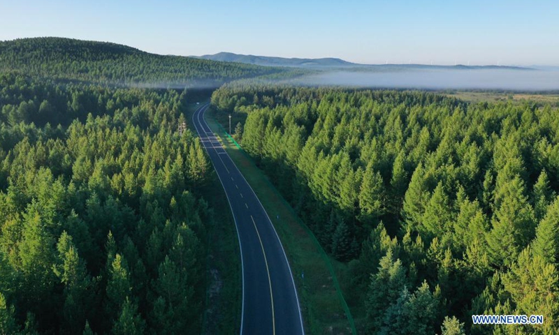 Aerial photo taken on June 27, 2021 shows the scenery in Saihanba National Forest Park in Chengde, north China's Hebei Province.(Photo:Xinhua)