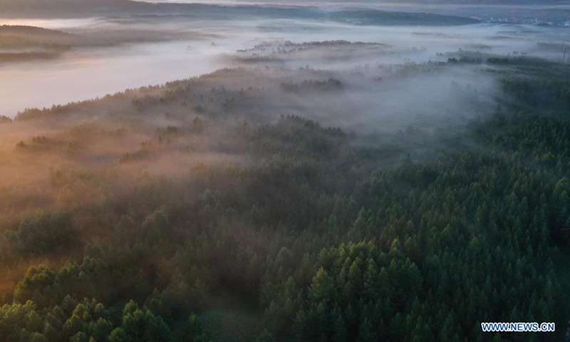 Aerial photo taken on June 27, 2021 shows the scenery in Saihanba National Forest Park in Chengde, north China's Hebei Province. (Photo:Xinhua)