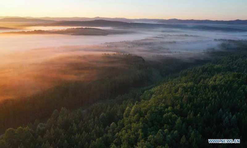 Aerial photo taken on June 27, 2021 shows the scenery in Saihanba National Forest Park in Chengde, north China's Hebei Province. (Photo:Xinhua)