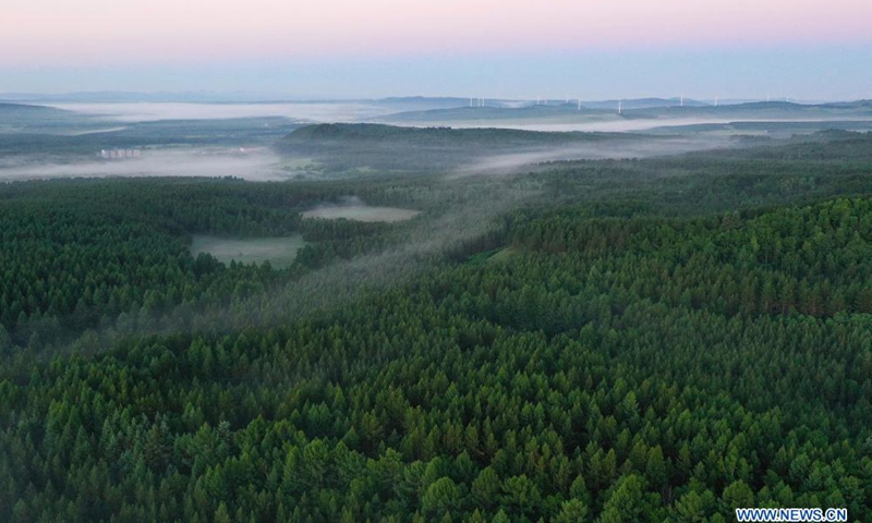 Aerial photo taken on June 27, 2021 shows the scenery in Saihanba National Forest Park in Chengde, north China's Hebei Province.(Photo:Xinhua)