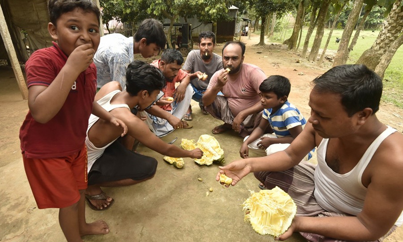People eat jackfruits at a village in Gazipur on the outskirts of Dhaka, Bangladesh, on June 27, 2021.(Photo: Xinhua)