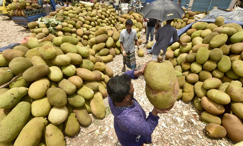 Piles of jackfruits are for sale at a market in Gazipur on the outskirts of Dhaka, Bangladesh, on June 27, 2021.(Photo: Xinhua)