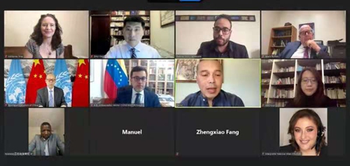Screenshot of the video meeting 