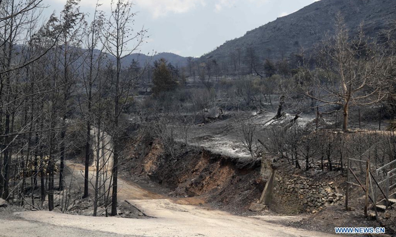 A burned forest is seen at Melini village in Limassol district, Cyprus, July 4, 2021. Four people were killed in a mammoth forest fire which has been raging for almost 24 hours in a mountainous area of Cyprus, police said on Sunday.(Photo: Xinhua)