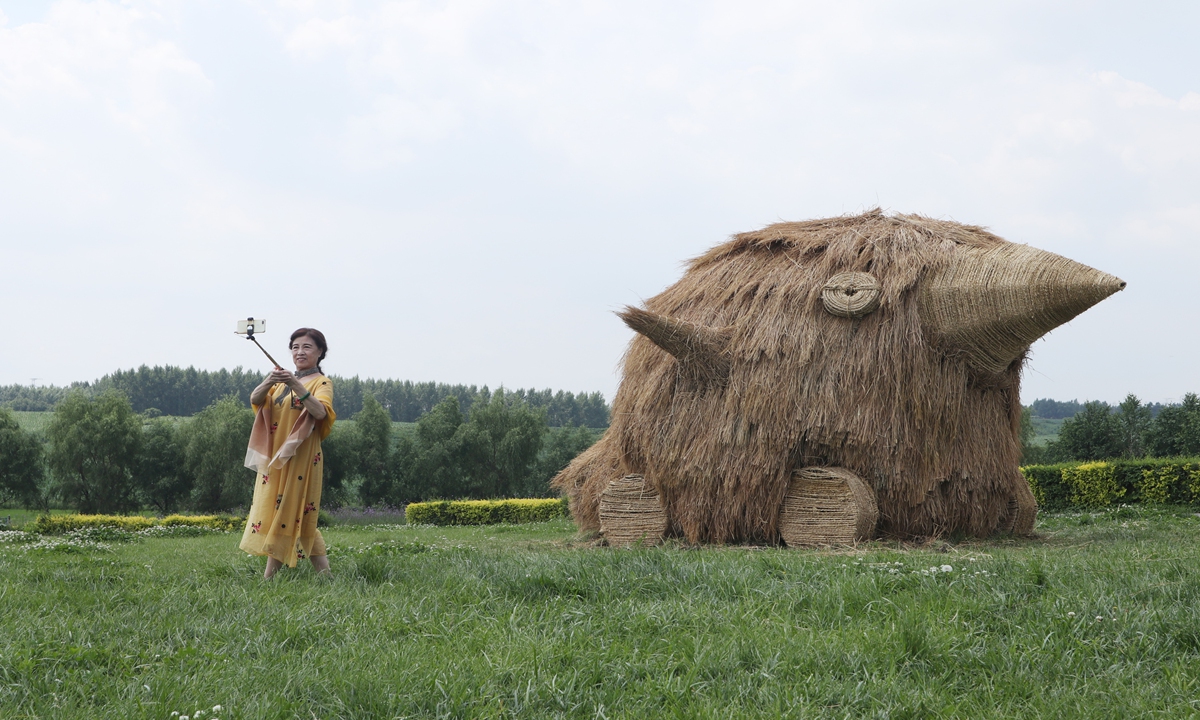 A woman is taking a photo on Tuesday with bird-shaped artistic sculpture made of straw, on a rural culture tourist festival in Jilin, Northeast China's Jilin Province, where many sculptures of straw created by college student teams from around China were displayed. Photo: IC