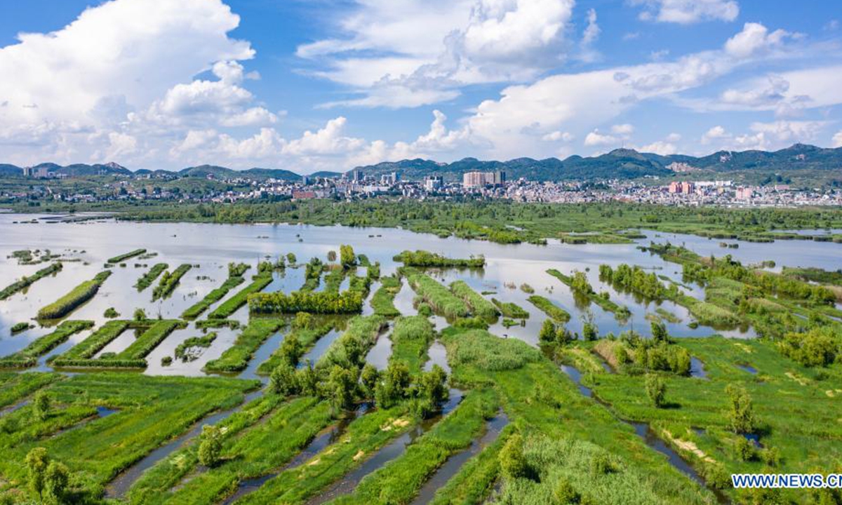 Aerial photo taken on July 7, 2021 shows the Caohai National Nature Reserve in the Yi, Hui and Miao Autonomous County of Weining, southwest China's Guizhou Province. (Xinhua/Tao Liang)