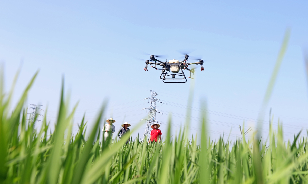 Farmers use a drone to spray herbicide in a water-fed paddy field in Baoying County, East China's Jiangsu Province on Sunday. In recent years, the county has used modern agricultural machinery such as drones to improve the efficiency of planting and reduce labor. Photo: VCG