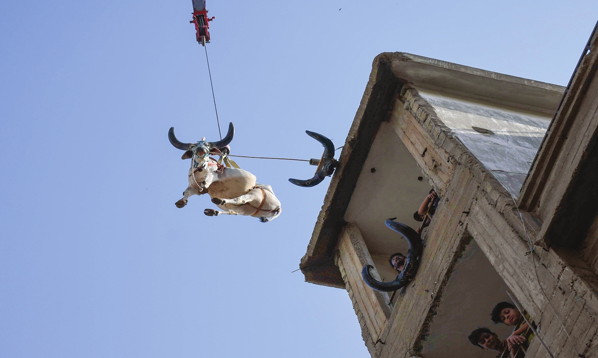 A Pakistani breeder uses a crane to carry his animals down from the roof to transport them to the livestock market for the Muslim Eid al-Adha celebration in Karachi, Pakistan on Sunday. Due to the crowded population, agricultural land scarcity and irregular urbanization in Karachi, people sometimes keep their animals on their roofs. Photo: AFP
