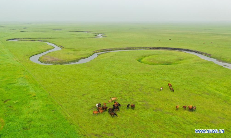Aerial photo taken on July 12, 2021 shows the scenery of a grassland in Dong Ujimqin Banner of Xilin Gol, north China's Inner Mongolia Autonomous Region. (Xinhua)