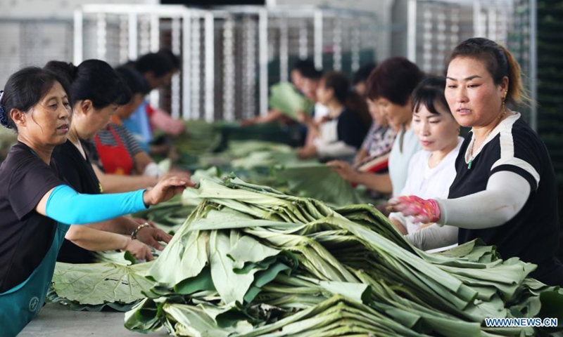 Villagers process lotus leaves to make tea at a workshop in Linhuai Town of Sihong County, east China's Jiangsu Province, July 14, 2021. (Photo: Xinhua)