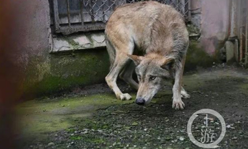 Photo: Shangyou News