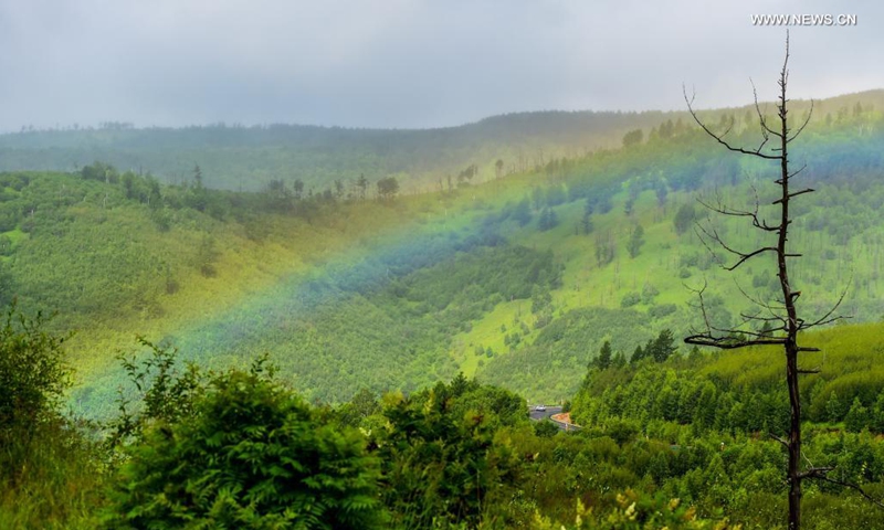 Photo taken on July 14, 2021 shows a view of the Arxan National Forest Park, north China's Inner Mongolia Autonomous Region. (Xinhua)