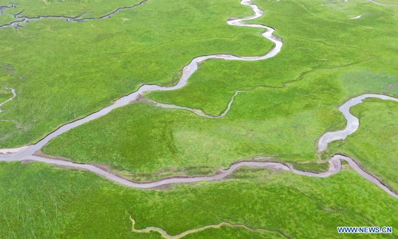 Aerial photo taken on July 15, 2021 shows the scenery of the Awancang Wetland in Maqu County, Gannan Tibetan Autonomous Prefecture, northwest China's Gansu Province.Photo:Xinhua