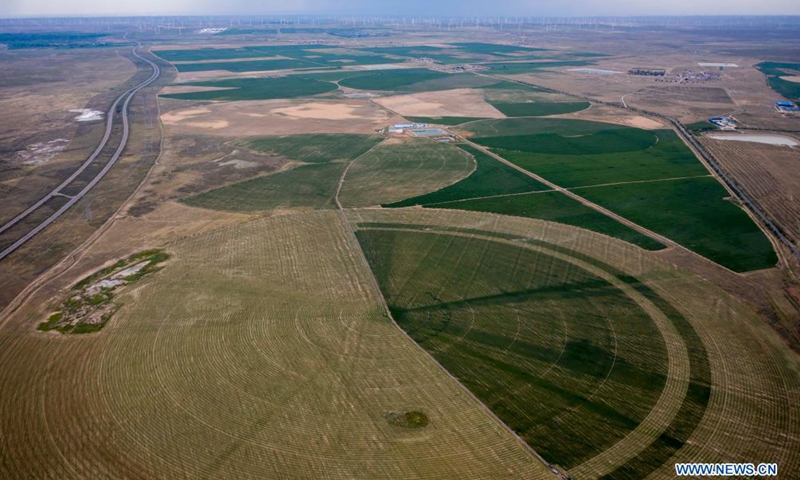 Aerial photo taken on July 14, 2021 shows people harvesting forage grass at Pingtai Village in Yanchi County, northwest China's Ningxia Hui Autonomous Region.Photo:Xinhua