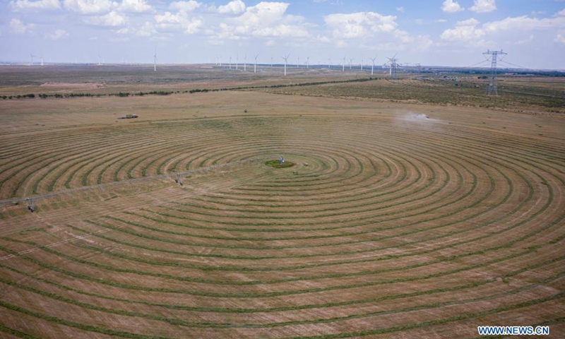 Aerial photo taken on July 14, 2021 shows people harvesting forage grass at Pingtai Village in Yanchi County, northwest China's Ningxia Hui Autonomous Region.Photo:Xinhua