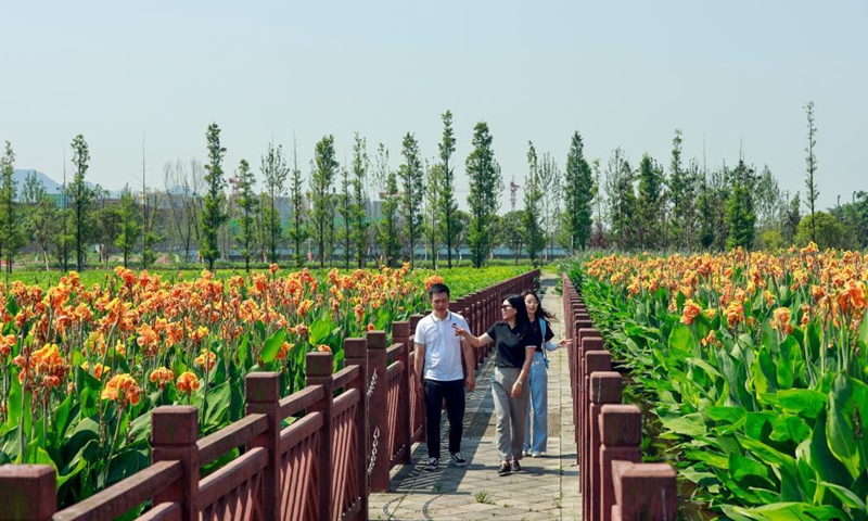 Tourists enjoy themselves at the wetland park of the Hangu section of Liangtan River in southwest China's Chongqing, July 14, 2021. The water quality and ecosystem of Liangtan River in Chongqing has been improved in recent years thanks to the city's ecological restoration efforts..Photo:Xinhua