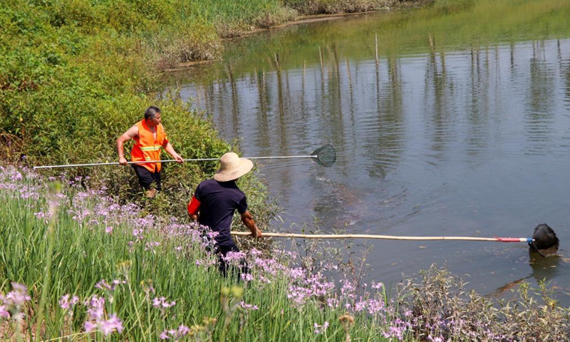Members of a watercourse patrol team clean the Hangu section of Liangtan River in southwest China's Chongqing, July 14, 2021. The water quality and ecosystem of Liangtan River in Chongqing has been improved in recent years thanks to the city's ecological restoration efforts.Photo:Xinhua