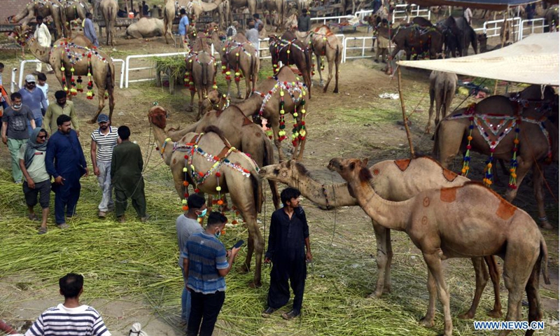 People visit an animal market ahead of Eid al-Adha festival in Lahore, capital city of Pakistan's Punjab province on July 17, 2021.(Photo: Xinhua)