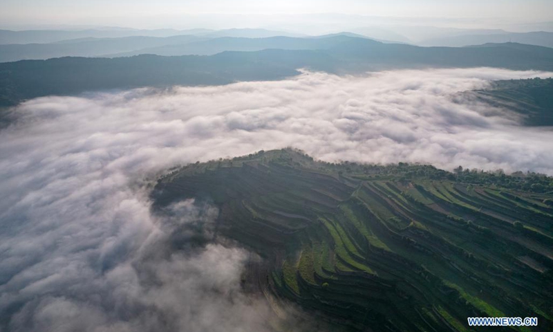 Aerial photo taken on July 19, 2021 shows sea of clouds in Chenshan Village of Liuliang Township, Zhuanglang County of Pingliang City, northwest China's Gansu Province.(Photo: Xinhua)