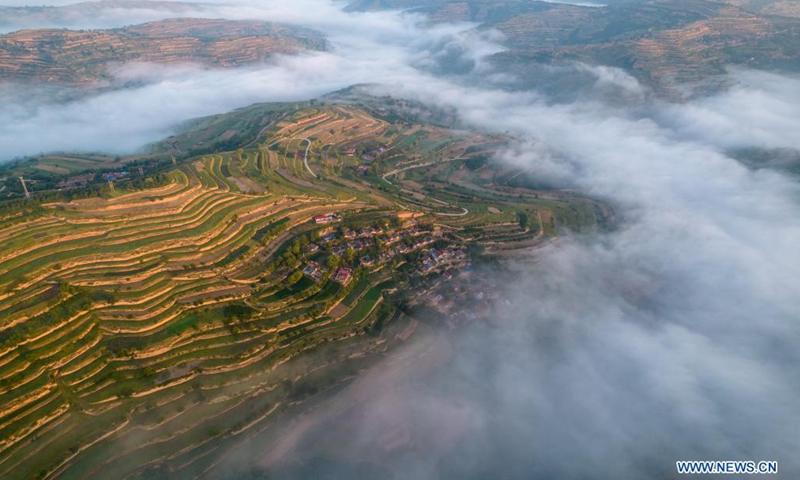 Aerial photo taken on July 19, 2021 shows sea of clouds in Chenshan Village of Liuliang Township, Zhuanglang County of Pingliang City, northwest China's Gansu Province.(Photo: Xinhua)