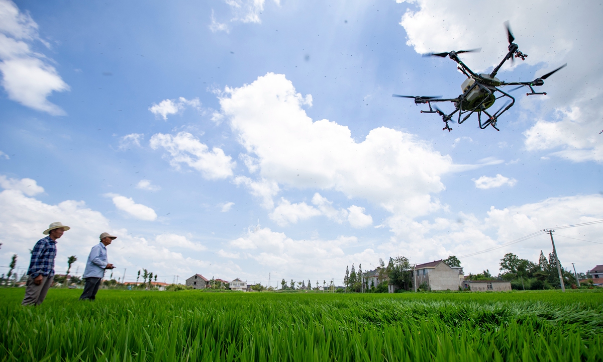 Farmers operate a drone to apply fertilizer on rice fields in Nantong, East China's Jiangsu Province on Thursday. High technology is being widely used by Chinese farmers due to its high level of accuracy and ability to save labor. Photo: cnsphoto