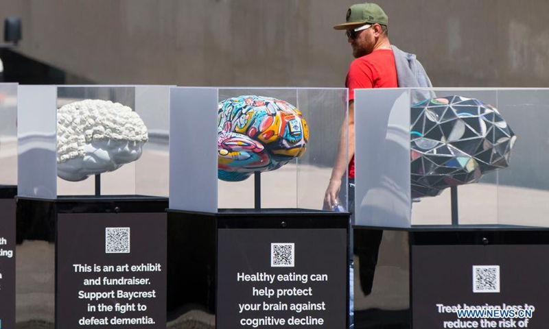 A man looks at brain sculptures at the Brain Project art exhibition in Nathan Phillips Square Pond in Toronto, Canada, on July 21, 2021.Photo:Xinhua