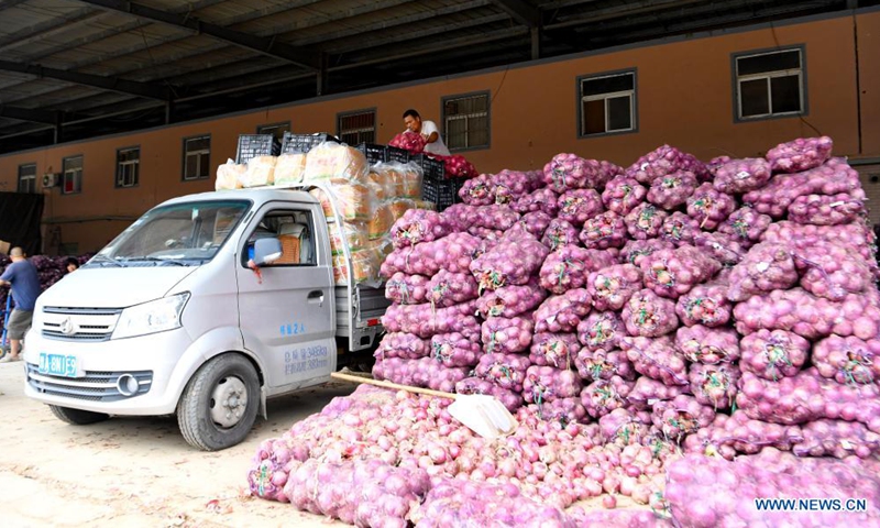Staff members transport vegetables at a logistic center in Zhongmu County of Zhengzhou, central China's Henan Province, July 22, 2021.Photo:Xinhua