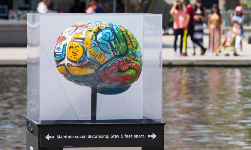 A brain sculpture is seen at the Brain Project art exhibition in Nathan Phillips Square Pond in Toronto, Canada, on July 21, 2021.Photo:Xinhua
