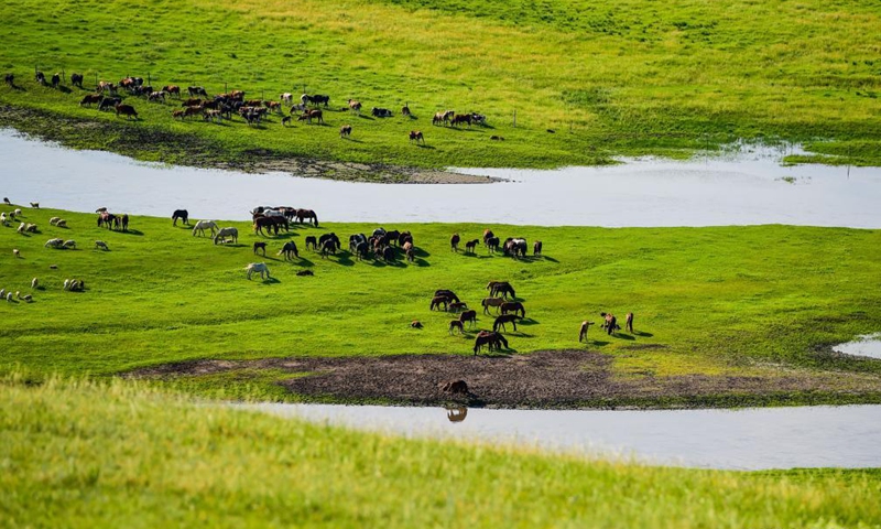 Photo taken on July 21, 2021 shows the Morigele River in Hulun Buir, north China's Inner Mongolia Autonomous Region.Photo:Xinhua