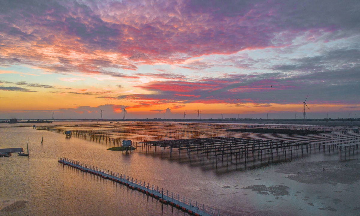 A renewable energy base in Sihong County, East China's Jiangsu Province is seen on Sunday as wind turbines spin. The base can generate 650 million kilowatt-hours of power annually, with tax revenue of 50 million yuan ($7.7 million). The annual income of fishery breeding amounts to 45 million yuan, and tourism income to 20 million yuan. A total of 640,000 tons of carbon emissions can be avoided every year. Photo: VCG