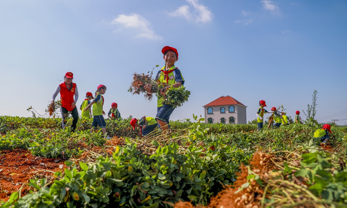 Children from Beimen Primary School in Jizhou district of Ji 'an city, East China's Jiangxi Province, visit the Spring Mud Project education base in a village at Changtang Town. They went to get first-hand experience in farmwork such as peanut harvesting, weeding and soil clearing. Photo: IC