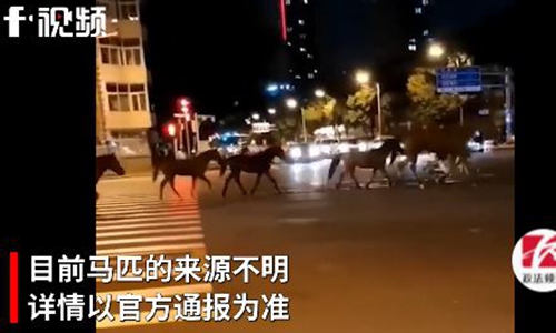 Horses on the street in Tianjin Photo: Screenshot of an online video 